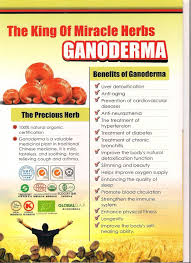 So Good For Your Body Ganoderma Benefits Ganoderma Healthy Organic
