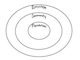 Ecosystems Circle Map Circle Map Fourth Grade Science Homeschool Science