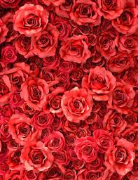 Red Rose Flowers Wall Backdrop For Wedding Photography Valentine Print Baby Photography Backdrop Background For Photography
