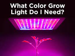 Colors on either end of the spectrum play the greatest role in plant growth and flowering,. What Color Led Grow Light Do I Need 1000bulbs Com Blog
