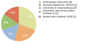 Image result for Lasiodiscus pervillei