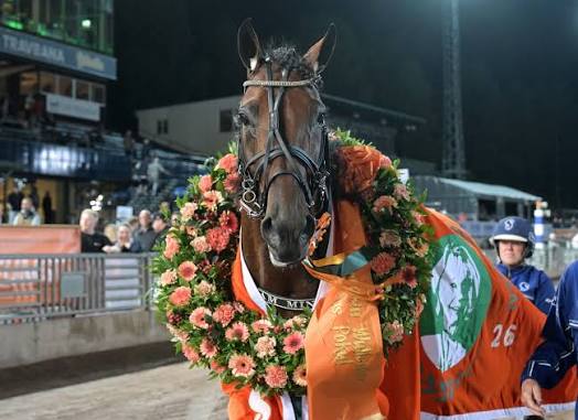 Roy Schermer med Robin Bakker i sulkyn vinner Elimination Breeders Course 3 years old Colts and Geldings Second Final 2026. Paul Hagoort tränar, Nicole Henriks är skötare. Ägare är Stable Why Not