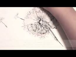 I recommend drawing lightly with a pencil first. How To Draw A Dandelion Live Drawing In Ink Youtube