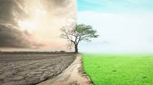 That part of the year when business is most slack and there are fewest clients or visitors. How To Survive Business Seasonality 5 Key Tactics