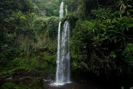 We did not find results for: Tiu Kelep Waterfall Sendang Gile Waterfall Lombok