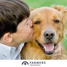 You could save up to 15% on your auto insurance just for using the farmers insurance® signal app. Farmers Insurance Corey Benson 24 Photos Insurance 1495 Commercial St Ne Salem Or Phone Number