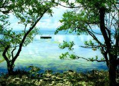 Driving from miami to key west through the beautiful florida keys is a classic american road trip. 91 Miami Limousine Airport Sedan Service Ideas North Miami Beach Sedan Limousine