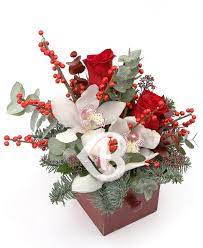 We did not find results for: Livrare Aranjament CrÄciun Magic Trandafiri Cymbidium Ilex