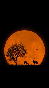 Deer Iphone6 Nature Wallpaper Deer Wallpaper Tree Wallpaper Iphone