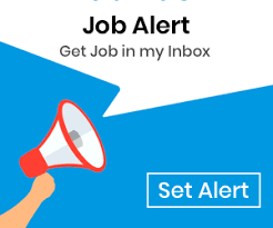 Infosys Direct Interview For Freshers Jobs In Pune Dec 2019 Salary Eligibility Companies Monster India Jobs For Freshers Development Marketing Jobs