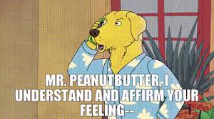 Peanutbutter 's quote, everybody deserves to be loved, holds a deep truth and it's exactly what bojack needs to hear when he hits rock bottom. Yarn Mr Peanutbutter I Understand And Affirm Your Feeling Bojack Horseman 2014 S03e03 Comedy Video Gifs By Quotes 8a432b75 ç´—