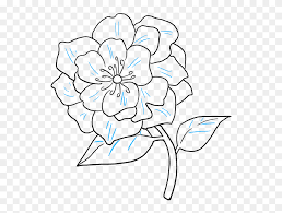 The laliguras is ruby red in shading. Transparent Flower Drawing Png National Flower Of Nepal Drawing Clipart 5468844 Pinclipart