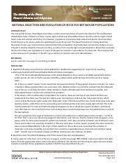 Selection (answer key) download student exploration: Mouse Naturalselection Student Pdf The Making Of The Fittest Natural Selection And Adaptation Lesson Student Handout Natural Selection And Evolution Course Hero