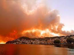 Φωτια ευβοια κάτοικοι που είχαν εγκαταλείψει τα σπίτια τους κατά την μεγάλη φωτιά στην εύβοια, επέστρεψαν στον τόπο της απόλυτης καταστροφής. Eyboia Ane3elegkth H Fwtia Ekkenwsh E3i Oikismwn Alfavita
