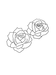 Cabbage Roses Art Print By Lindsay Shapka Art X Small Black And White Stickers Black And White Drawing Black And White Art Drawing
