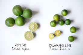 The mexican lime is also known as key lime, west indian lime, bartender's lime, omani lime, among other names. Key Lime Limau Nipis Calamansi Lime Limau Kasturi New Malaysian Kitchen