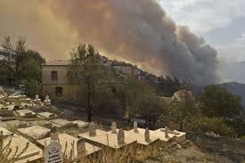 O incêndio que lavra há mais de 24 horas no concelho de odemira estava, às 12:15, a ser combatido por 694 operacionais e tinha cinco setores, mas só três ativos, não havendo habitações em perigo, segundo a proteção civil. Sete Mortos Em Incendios No Norte Da Argelia