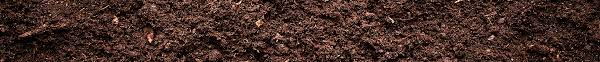 Most junk removal services charge by the truckload, and most residential projects only require filling up part . Dirt Recycling Dirt Removal Dirt Disposal Bin Dirt Dumpster