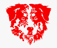 Download Australian Shepherd Svg Free Hd Png Download Transparent Png Image Pngitem