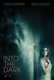 They spend the night talking, exchange numbers, and are eventually able to meet again after nimr acquires his student visa. Into The Dark Film Wikipedia