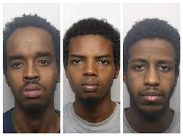 Locked Up: The criminals justice caught up with in November and what  happened to them