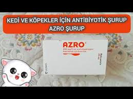 Toz Halindeki Ilaclar Nasil Hazirlanir Aciklamalar Kismina Dikkat Youtube