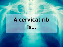 Simple question, what is the amount of the chambers of the heart? 35 Medical Trivia Questions To Test Your Health Iq Reader S Digest