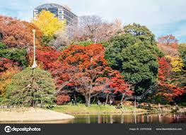 koishikawa korakuen garden autumn tokyo