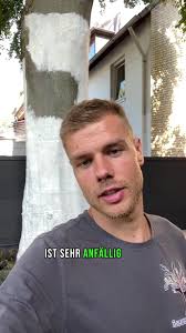 Daniel Knieling Baumpflege