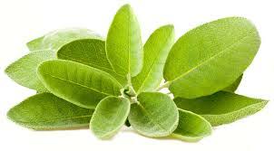 Non vogliamo rinunciare a un trattamento di bellezza per la pelle del viso o per il corpo? Bagni Di Vapore Per Depurare La Pelle Scopri Come Fare Depurarsi Naturalmente