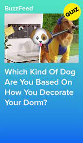 Go Dorm Shopping At Urban Outfitters And We Ll Tell You What Kind Of Dog You Are What Kind Of Dog Kinds Of Dogs Interesting Quizzes