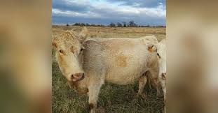 John Floyd Labor Obituary