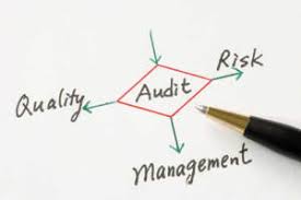 Image result for Recovery Audit Contractor