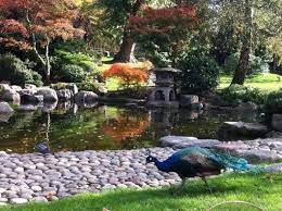 Kyoto Garden A Taste Of Japanese Tranquility Kyoto Garden London Kyoto Garden London Garden