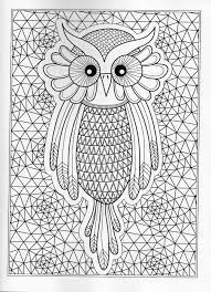 8.5 x 11 version full page images from. Pin On Birds