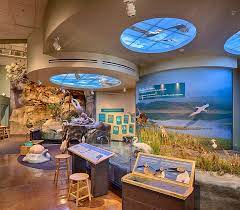 Coast to cactus in southern california. San Diego Natural History Museum Hosts Coast To Cactus Exhibit Kpbs