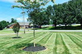 Our team members take pride in their work. Cardinal Lawn Pros Lawn Care In Gastonia Nc Belmont Gaston County