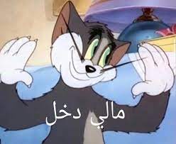 رياكشن توم in 2021 funny photo memes funny cartoon quotes dora funny