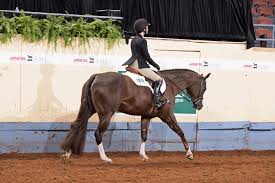 Includes a student notes page as well as worksheet to check for understanding. Rituals To Help Prepare For Pattern Classes Aqha