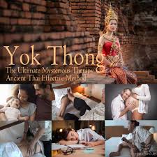 TTMAフォレストスパ