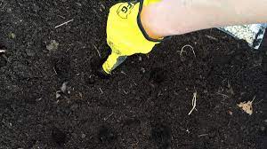 Let's say your lawn is in much need of some rejuvenation. How Much Compost Is Enough For My Garden Soils Matter Get The Scoop