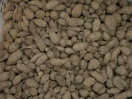 Umbi gembili dikenal sebagai bahan pangan pengganti nasi karena kemampuannya untuk mengenyangkan perut. Kentang Jawa Hitam Sumber Pangan Yang Terlupakan Alamendah S Blog