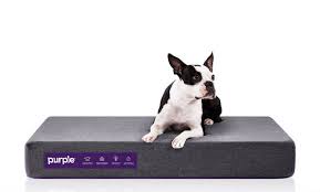 There are many types of dog beds choose from, including orthopedic & waterproof designs. Sleep Tight 6 Of The Best Orthopedic Dog Beds On The Market