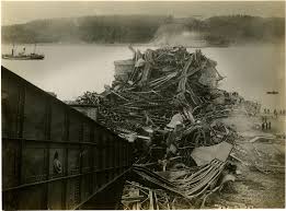 Image result for Science Technology Structural Engineering Bridge Failures Saint Lawrence River