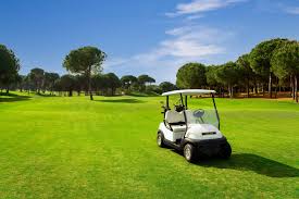 Golf Cart-Friendly Communities