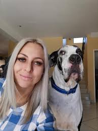 Great Dane rescue stories and unconditional love