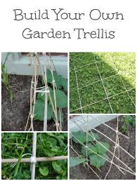 Growing cucumbers on a trellis is easy! Diy Garden Trellis