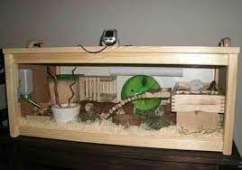 Kandang marmut sendiri bisa terbuat dari berbagai macam bahan mulai dari bambu, kayu, kardus hingga terbuat dari kawat. 7 Cara Mudah Membuat Kandang Hamster Sendiri