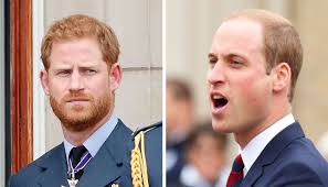 Prince William ready to crush Prince Harry's hopes in new plans