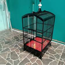 Sangkar kandang burung murai cenlung list aklirik no.1,2,3 oriq jaya biaya pecking styrofoam/kardus/kayu rp 20.000 (besar) biaya pecking styrofoam/kardus/kayu rp 10.000. Mafiru Sangkar Sangkar Kosan Pernis Natural Ukuran 35x35 Facebook